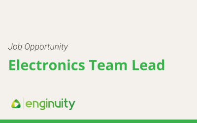 Job Opportunity: Electronics Team Lead